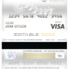Fillable Burkina Faso The Central Bank of West African States bank visa card debit card Templates | Layer-Based PSD
