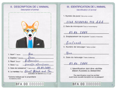 Burkina Faso dog Fake PSD Passport | Instant Download