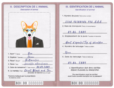 Burundi dog Fake PSD Passport | Instant Download