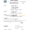 Authentic Cabo Birth Certificate Template | Customize and Download Online