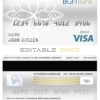 Fillable Cameroon BGFI bank visa card debit card Templates | Layer-Based PSD