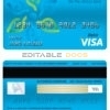 Fillable Cameroon Ecobank bank visa card debit card Templates | Layer-Based PSD