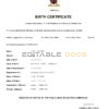 Authentic Cameroon Birth Certificate Template | Customize and Download Online