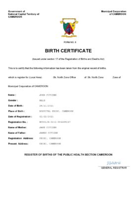 Cameroon vital record birth certificate Word and PDF template, completely editable
