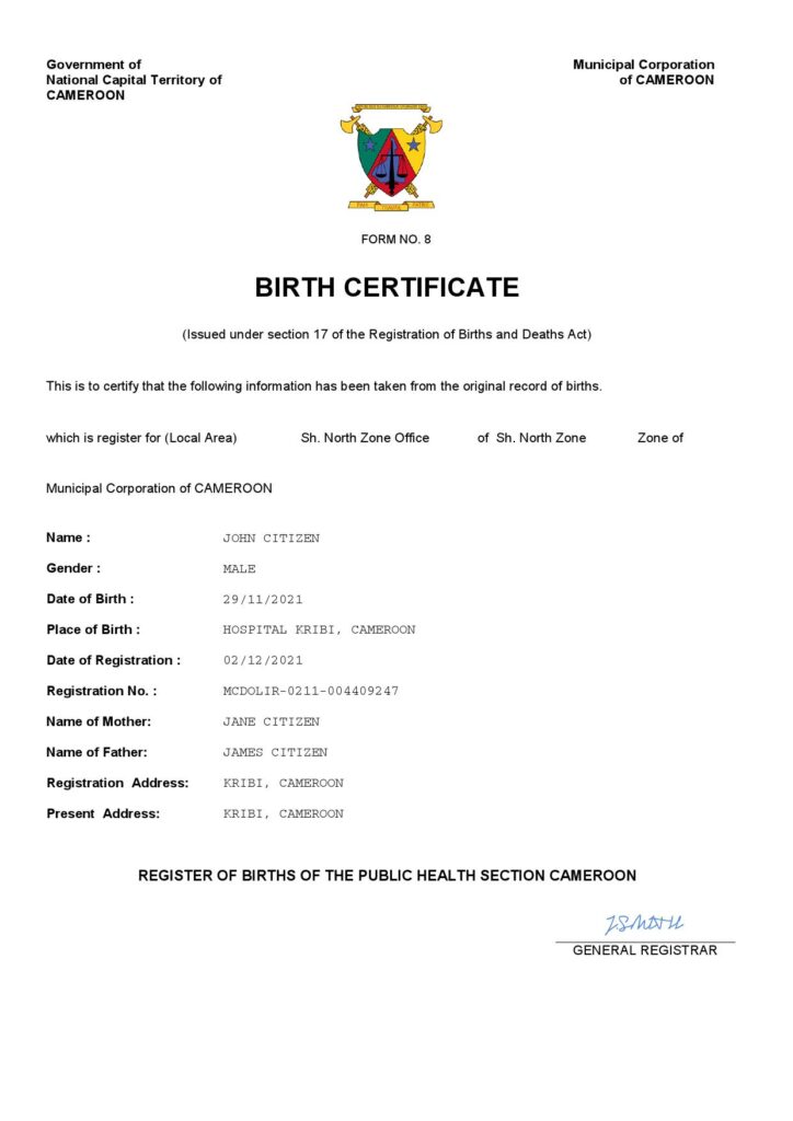 Cameroon vital record birth certificate Word and PDF template, completely editable