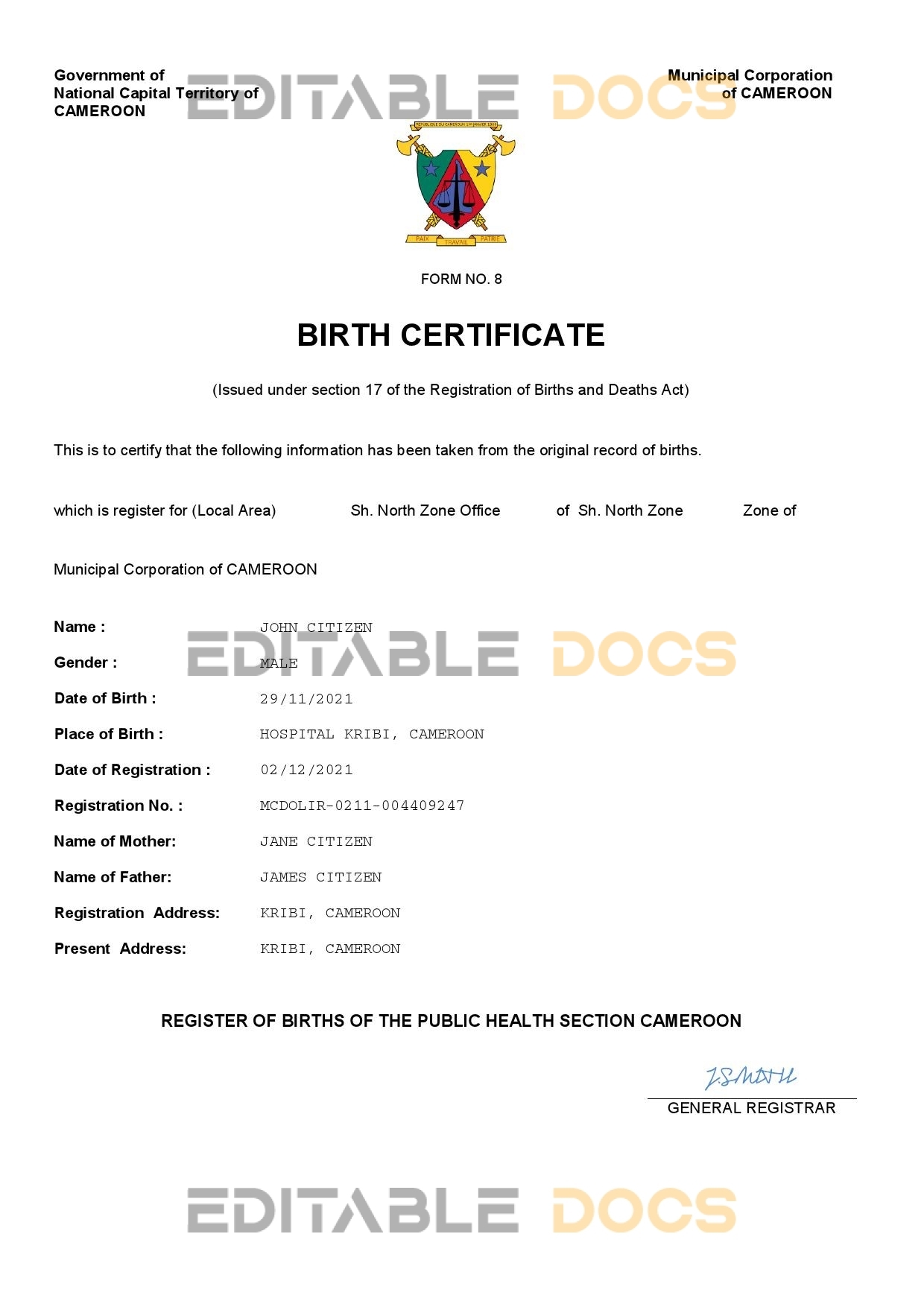 Authentic Cameroon Birth Certificate Template | Customize and Download Online