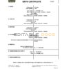 Authentic Canada Birth Certificate Template | Customize and Download Online