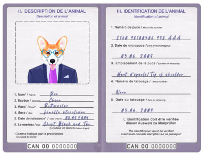 Canada dog Fake PSD Passport | Instant Download
