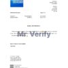 Download Canada American Express Air Miles Bank Reference Letter Templates | Editable Word
