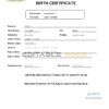Authentic Chile Birth Certificate Template | Customize and Download Online