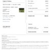Customizable Colombia Airbnb Reservation Template | Word & PDF Formats