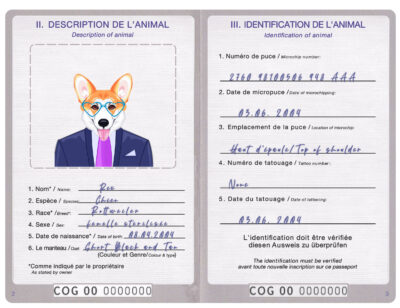 Congo dog Fake PSD Passport | Instant Download