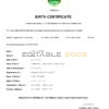 Authentic Costa Rica Birth Certificate Template | Customize and Download Online
