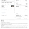 Editable Democratic Republic of the Congo Hotel Booking Form Template | Fillable PDF
