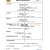 Authentic Denmark Birth Certificate Template | Customize and Download Online