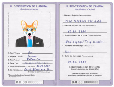 Djibouti dog Fake PSD Passport | Instant Download