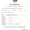 Authentic Dominican Republic Birth Certificate Template | Customize and Download Online