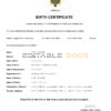 Authentic Ecuador vital record Birth Certificate Template | Customize and Download Online