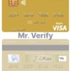 Editable Netherlands ABN AMRO Bank visa debit card Templates in PSD Format