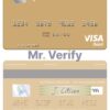 Editable Sweden Swedbank visa debit card Templates in PSD Format