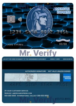USA Editable Templates 7 Editable USA New York American Express Blue bank card Templates in PSD Format