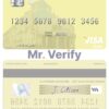 Editable Ukraine Raiffeisen Bank visa debit card Templates in PSD Format