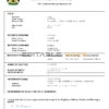 Authentic Egypt Birth Certificate Template | Customize and Download Online