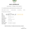 Authentic El Salvador Birth Certificate Template | Customize and Download Online