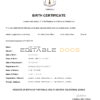 Authentic Equatorial Guinea Birth Certificate Template | Customize and Download Online
