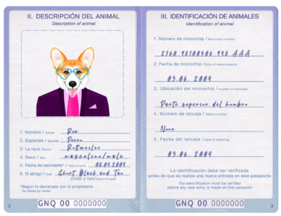 Equatorial Guinea dog Fake PSD Passport | Instant Download