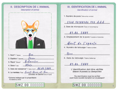 Eswatini (Swaziland) dog Fake PSD Passport | Instant Download