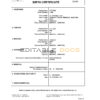Authentic Eswatini Birth Certificate Template | Customize and Download Online