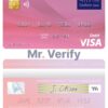 Fillable Ethiopia Dashen Bank visa debit credit card Templates | Layer-Based PSD