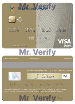 Fillable Guinea Banque Islmaique de Guinée visa card Templates | Layer-Based PSD
