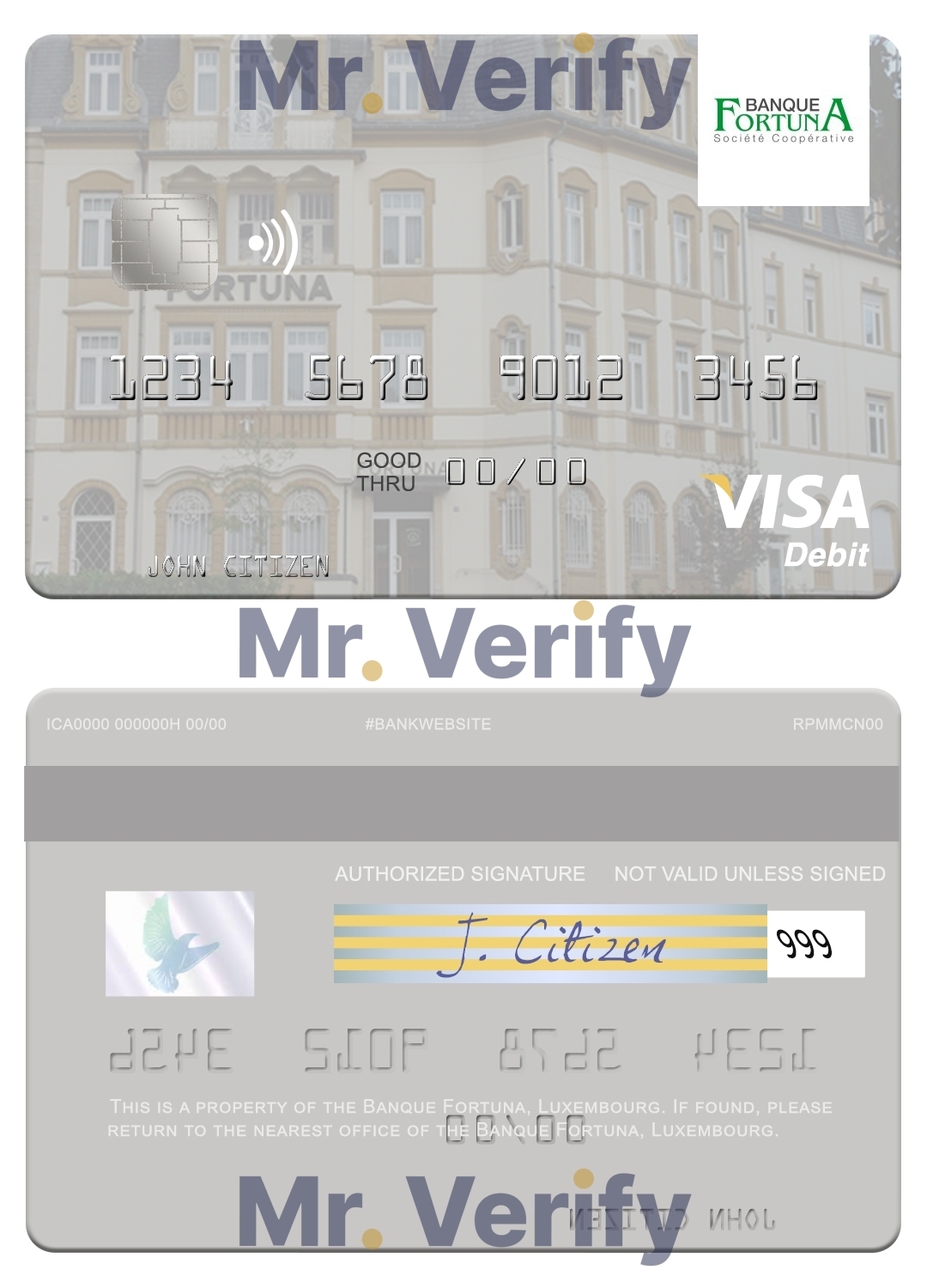Fillable Luxembourg Banque Fortuna visa credit card Templates | Layer-Based PSD