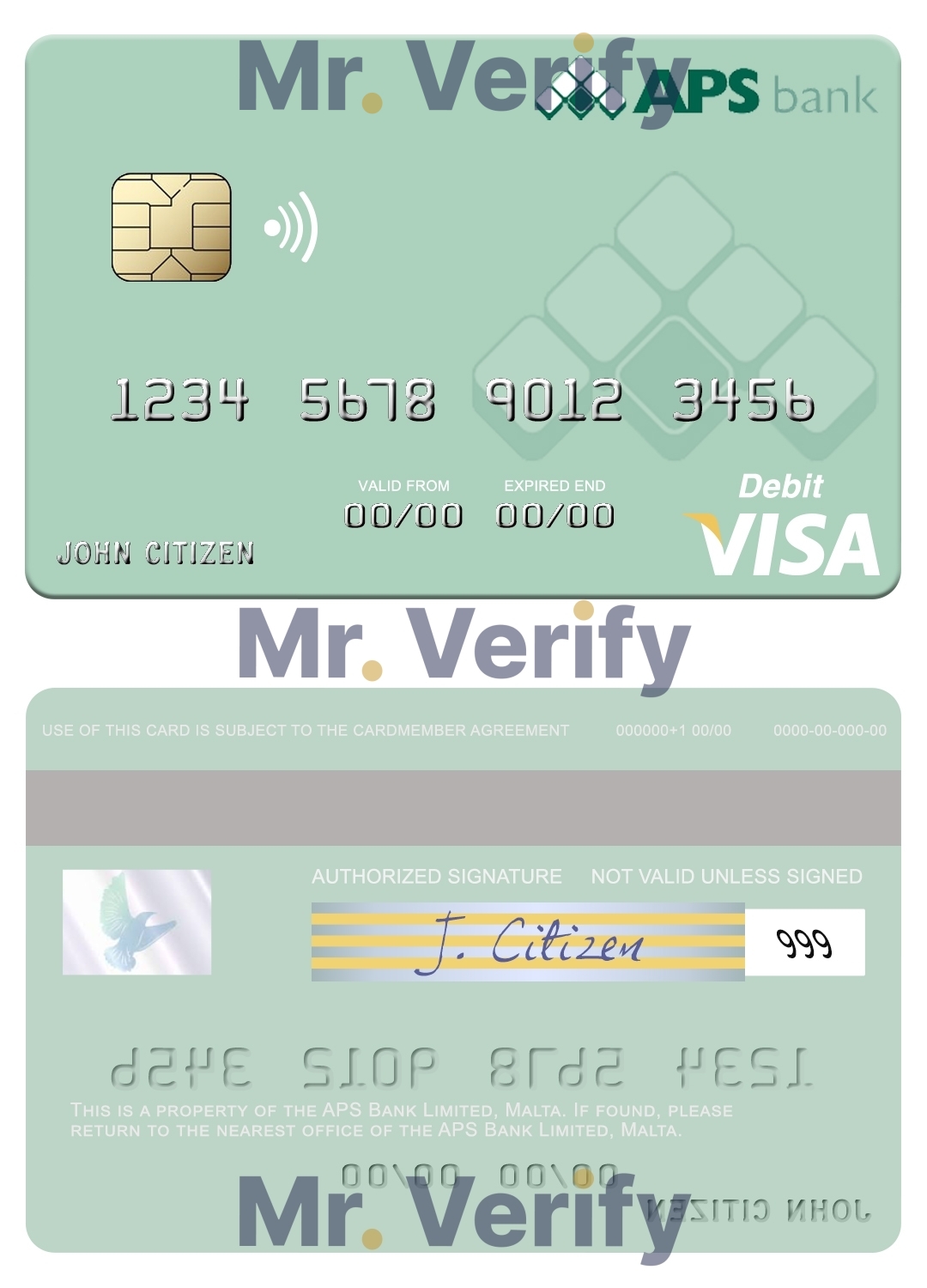 Fillable Malta APS Bank Limited visa card Templates | Layer-Based PSD