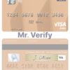 Fillable Nigeria Access Bank Plc visa debit card Templates | Layer-Based PSD