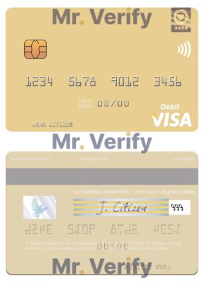 Fillable North Korea Daesong Bank visa debit card Templates | Layer-Based PSD