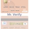 Fillable Oman Sohar International Bank visa debit card Templates | Layer-Based PSD