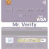 Fillable Pakistan Meezan Bank Limited visa debit card Templates | Layer-Based PSD