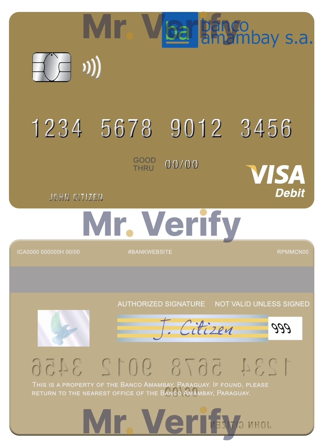 Fillable Paraguay Banco Amambay visa debit card Templates | Layer-Based PSD