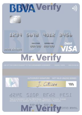 Fillable Paraguay Banco BBVA visa credit card Templates | Layer-Based PSD