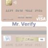 Fillable Qatar Islamic Bank visa debit card Templates | Layer-Based PSD