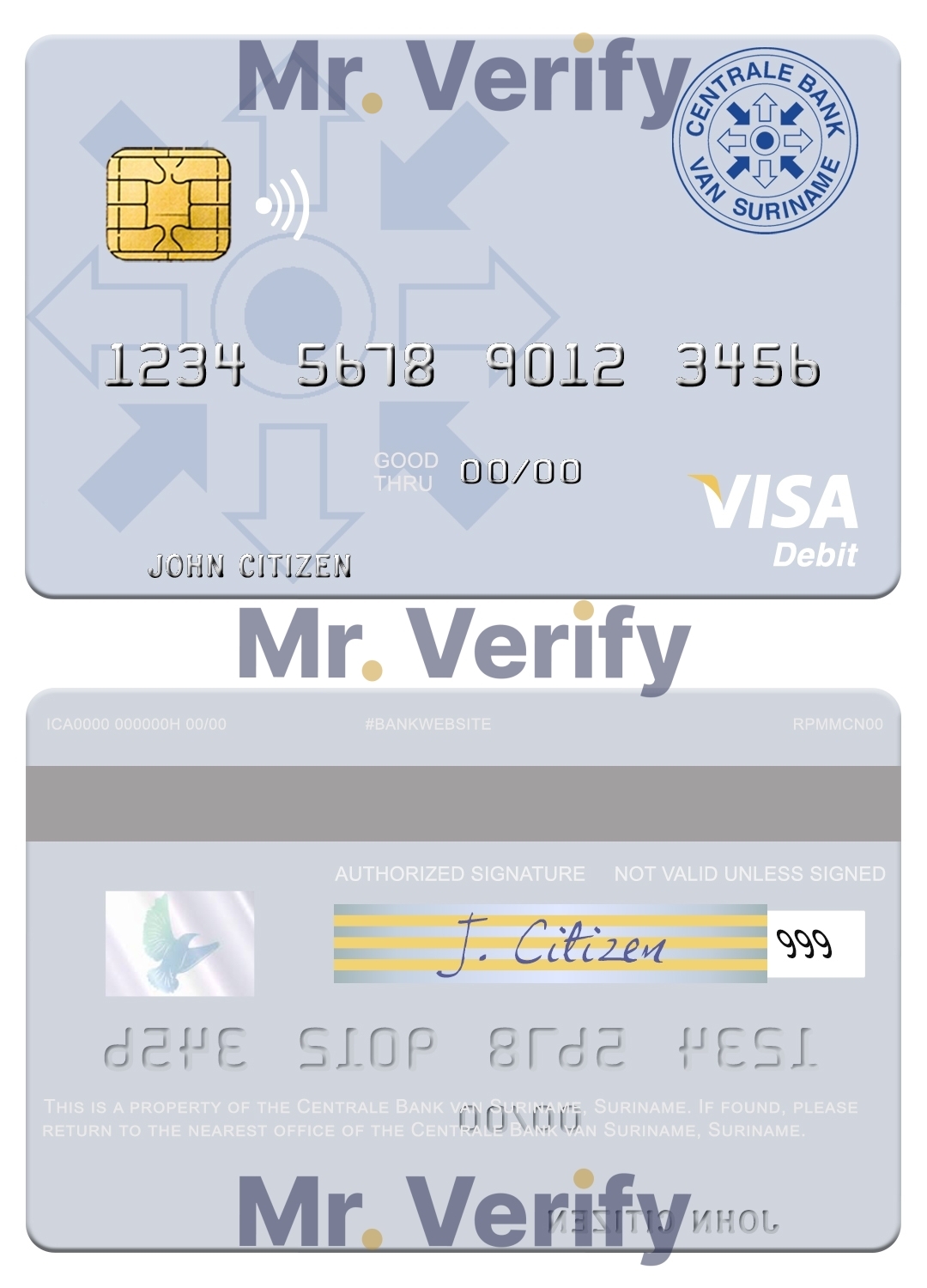 Fillable Suriname Centrale Bank van Suriname visa debit card Templates | Layer-Based PSD