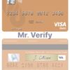 Fillable Syria Al Baraka Bank visa debit card Templates | Layer-Based PSD