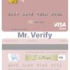 Fillable Turkey HSBC Bank visa debit card Templates | Layer-Based PSD