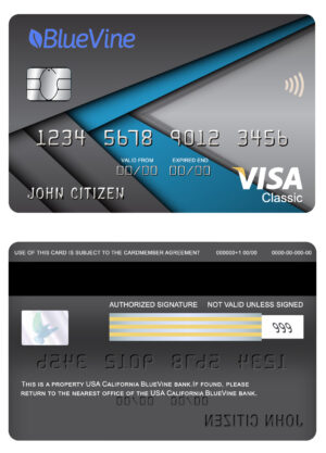 USA Editable Templates 14 Fillable USA California BlueVine bank visa classic card Templates | Layer-Based PSD