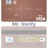Fillable USA Payoneer visa credit card Templates | Layer-Based PSD