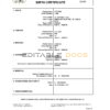 authentic France birth certificate template customize and download online