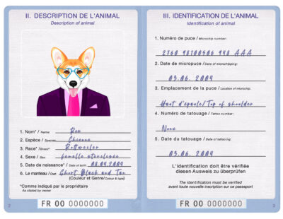 France dog Fake PSD Passport | Instant Download